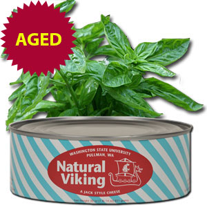 255AGED:&nbsp;Aged Sweet Basil